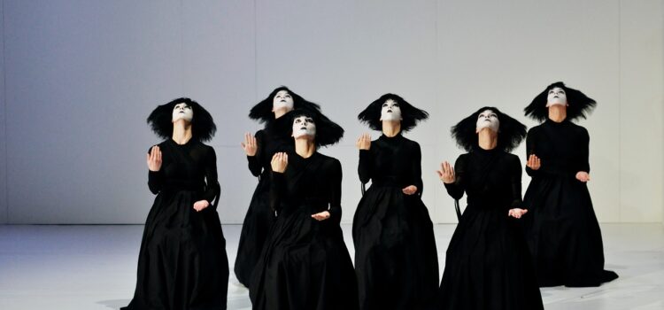 Être danseur, c'est chosir la troupe, le style, la direction artistique d'une tribu professionnelle.