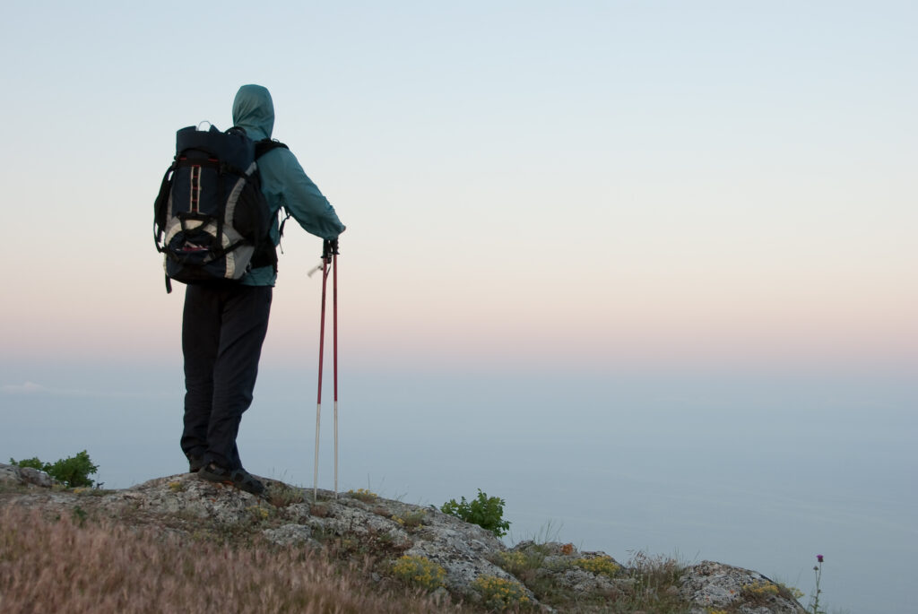 Une promeneuse contemple un vaste espace à l'orée de la forêt.